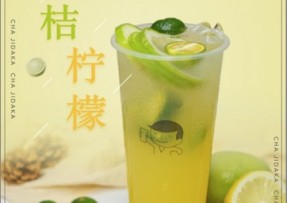 海星tv：金桔柠檬